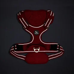 HUFT Xplorers Harness For Dog - Red