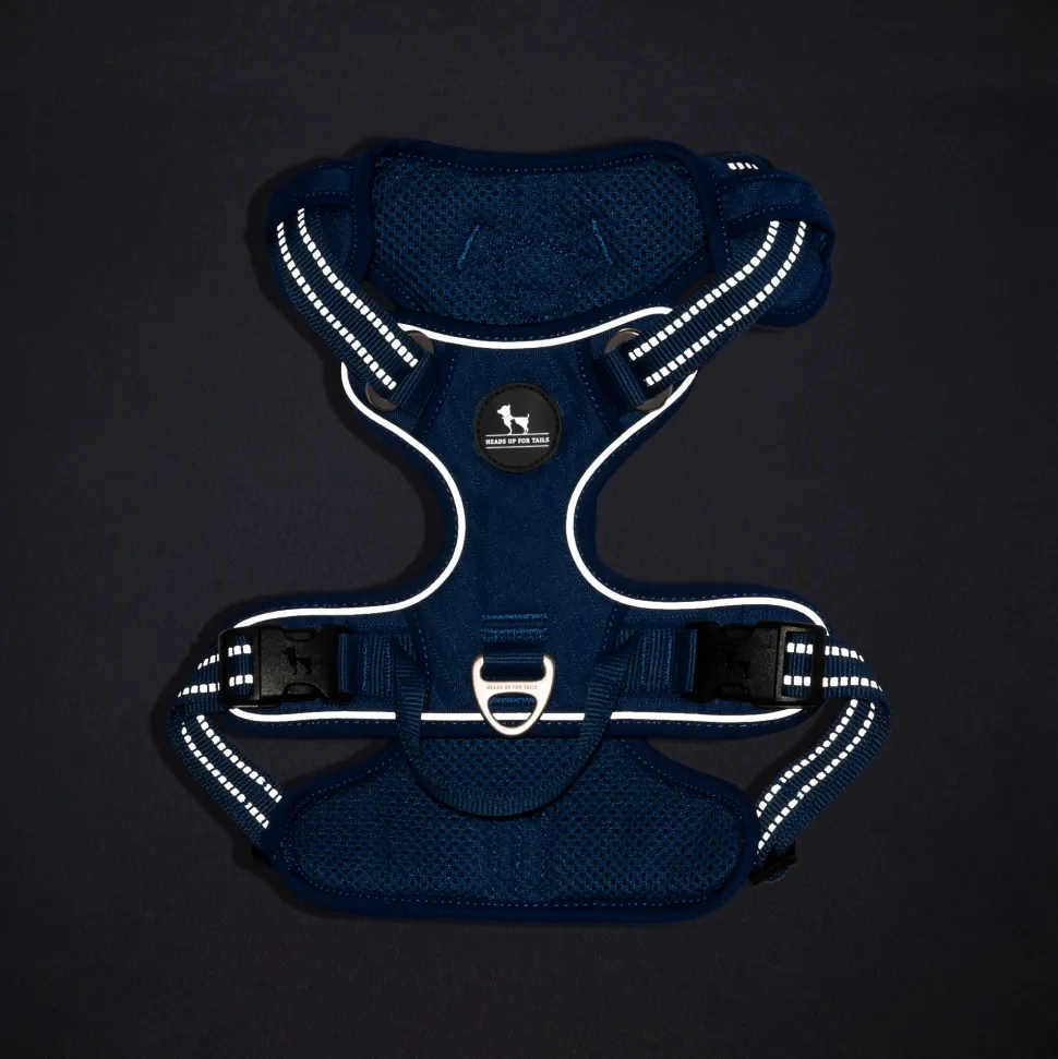 HUFT Xplorers Harness For Dog - Blue