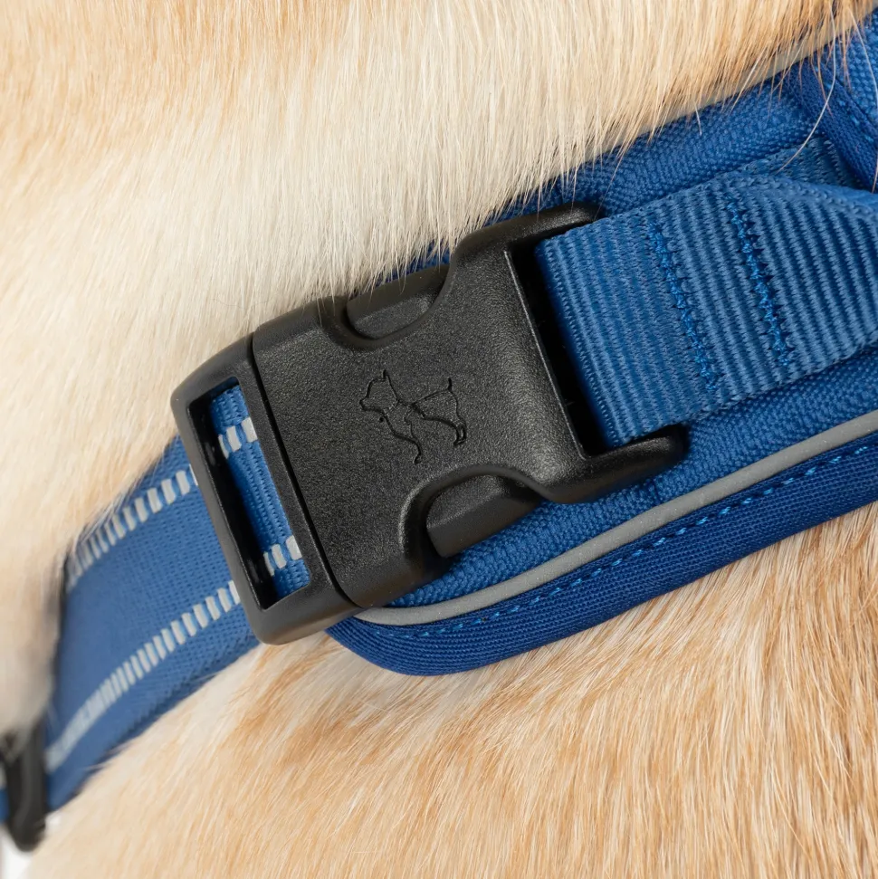 HUFT Xplorers Harness For Dog - Blue