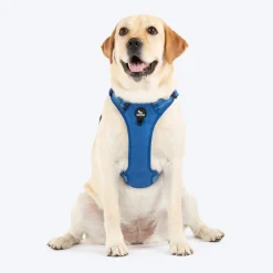 HUFT Xplorers Harness For Dog - Blue