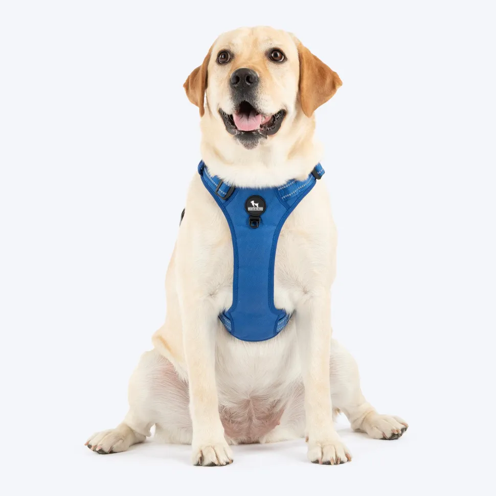 HUFT Xplorers Harness For Dog - Blue