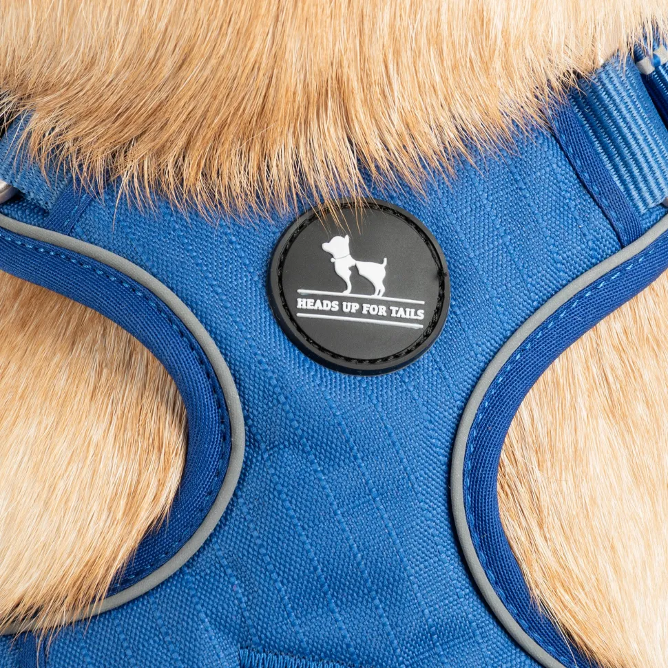 HUFT Xplorers Harness For Dog - Blue