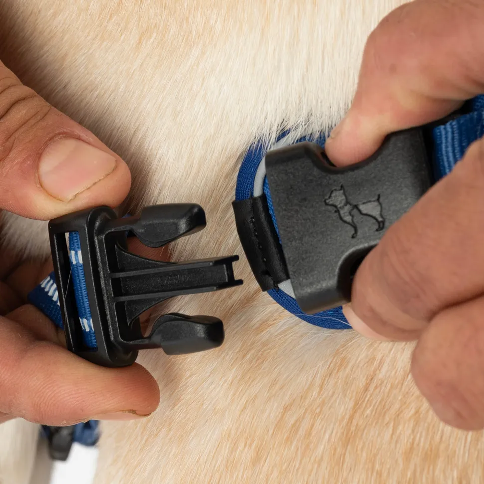 HUFT Xplorers Harness For Dog - Blue