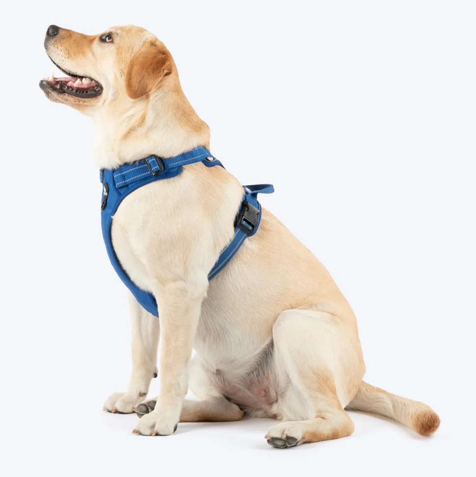 HUFT Xplorers Harness For Dog - Blue