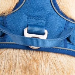 HUFT Xplorers Harness For Dog - Blue