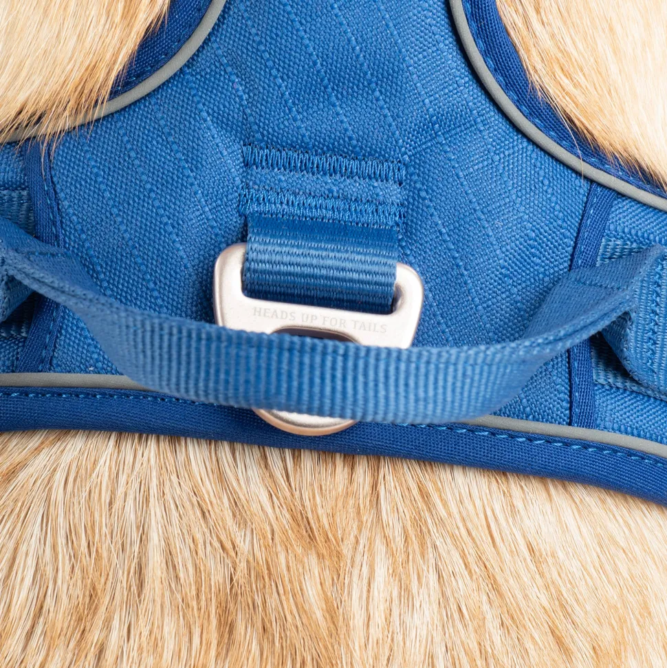 HUFT Xplorers Harness For Dog - Blue