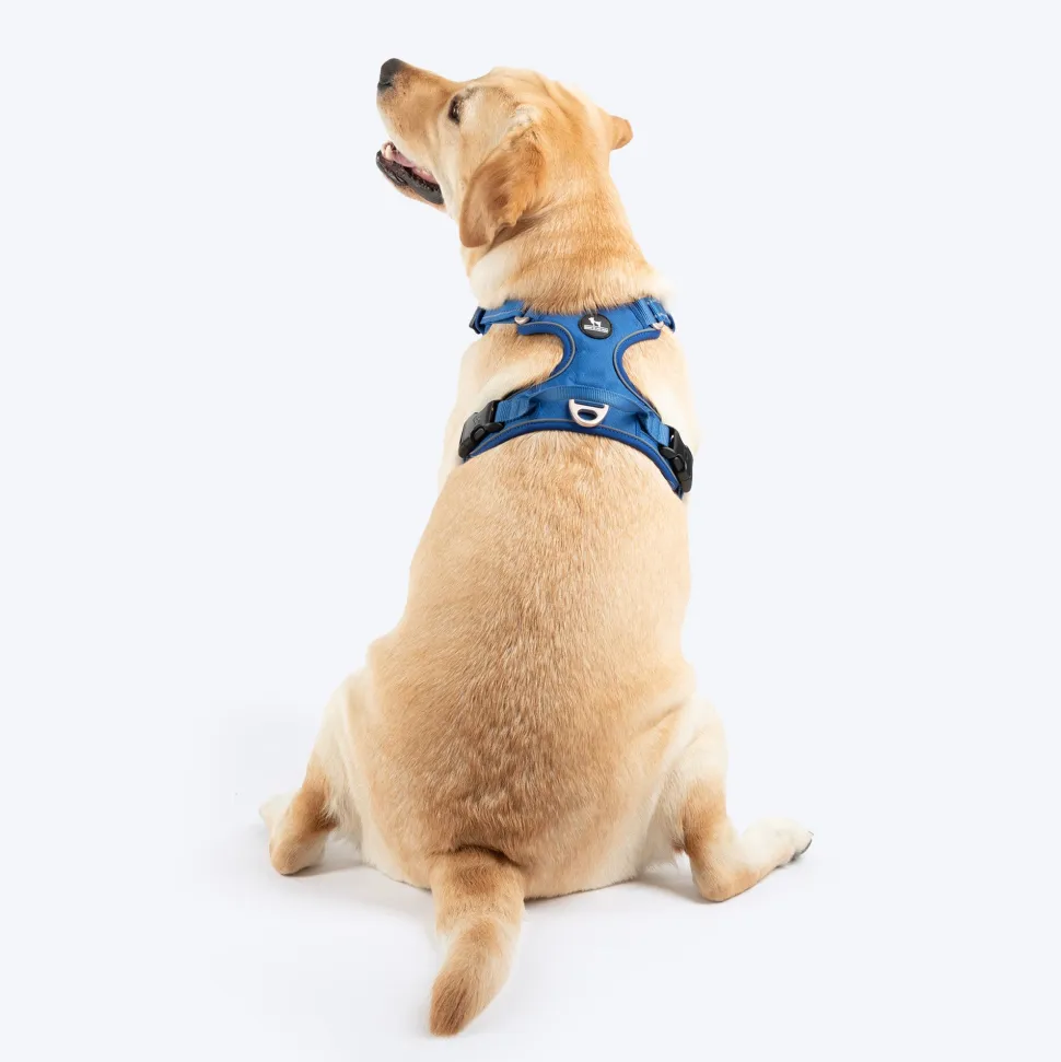 HUFT Xplorers Harness For Dog - Blue