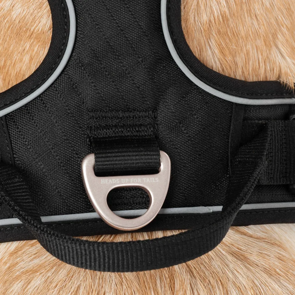 HUFT Xplorers Harness For Dog - Black
