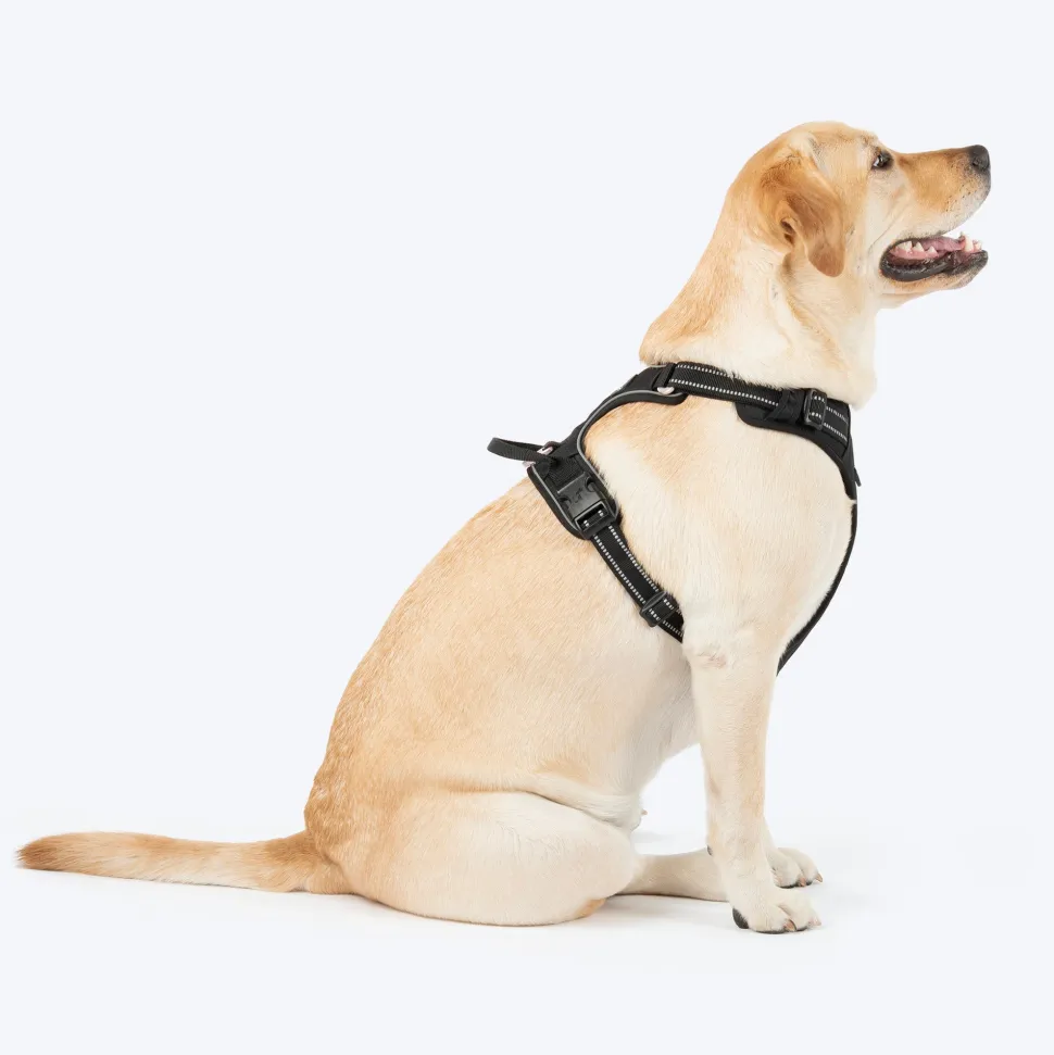 HUFT Xplorers Harness For Dog - Black