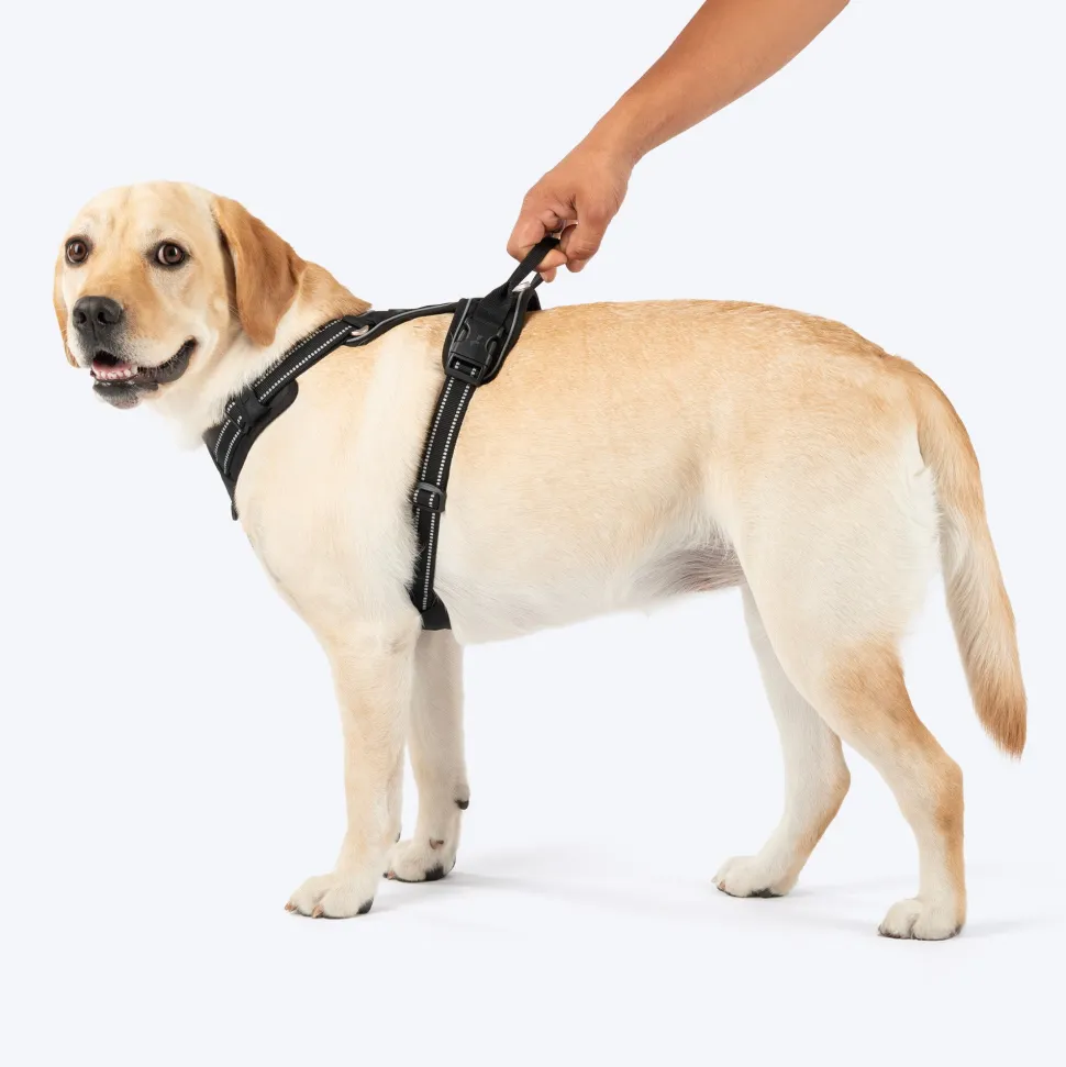 HUFT Xplorers Harness For Dog - Black