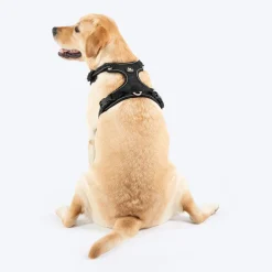 HUFT Xplorers Harness For Dog - Black