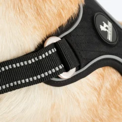 HUFT Xplorers Harness For Dog - Black