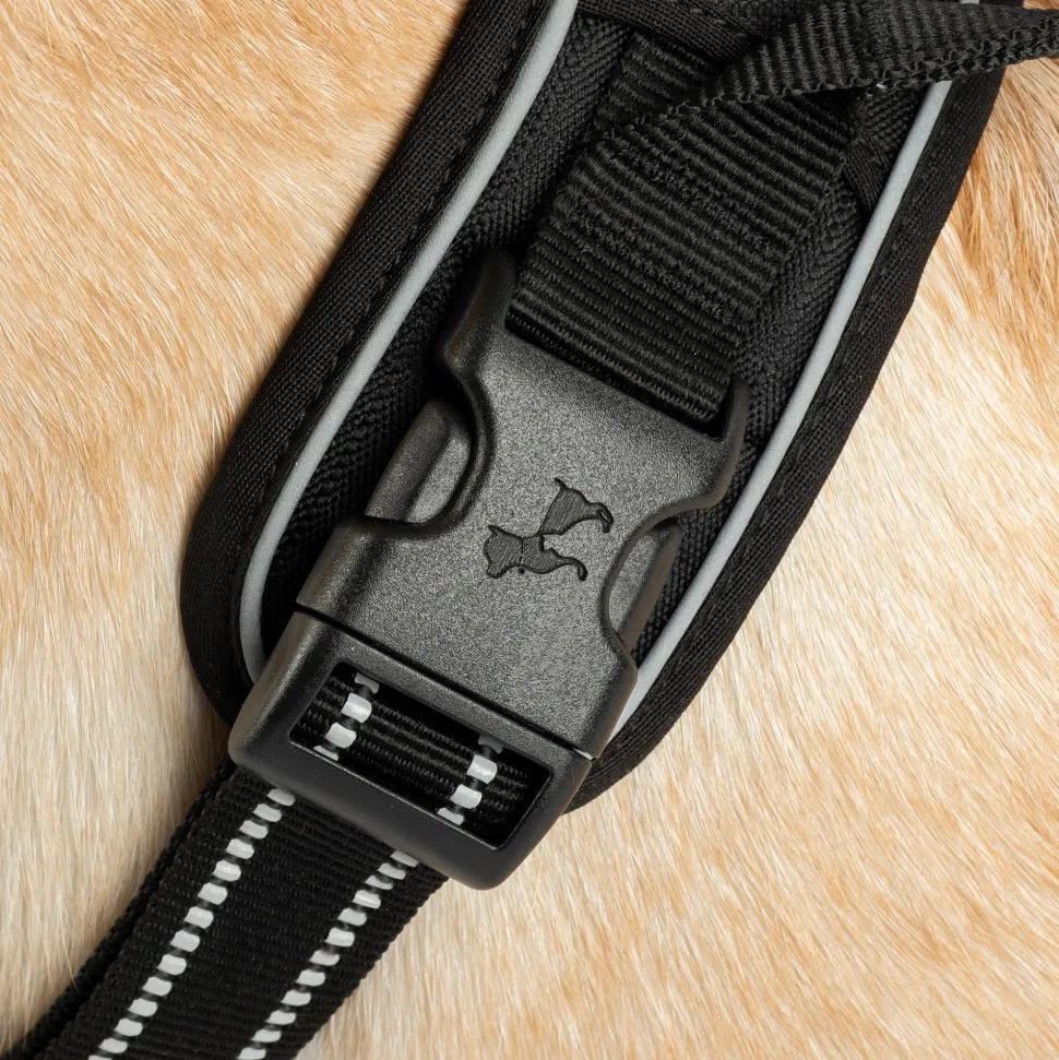 HUFT Xplorers Harness For Dog - Black
