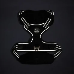 HUFT Xplorers Harness For Dog - Black