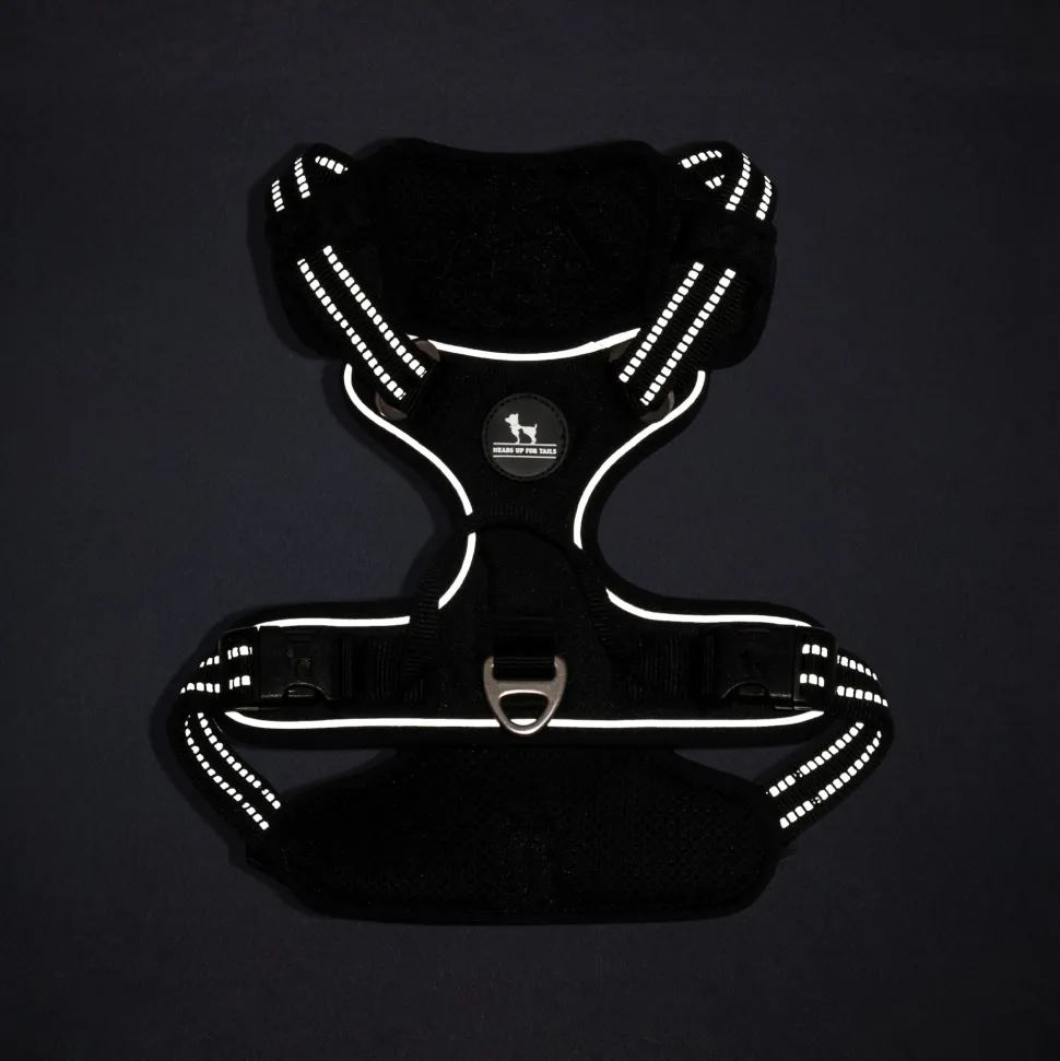 HUFT Xplorers Harness For Dog - Black