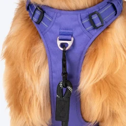 HUFT Xplorers Harness For Dog - Purple