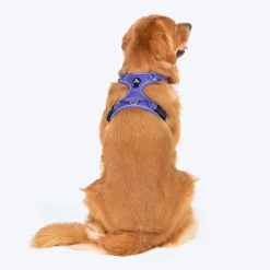 HUFT Xplorers Harness For Dog - Purple