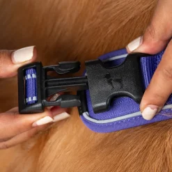 HUFT Xplorers Harness For Dog - Purple