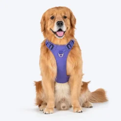 HUFT Xplorers Harness For Dog - Purple