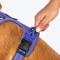 HUFT Xplorers Harness For Dog - Purple