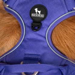 HUFT Xplorers Harness For Dog - Purple