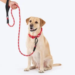 HUFT Xplorers Rope Leash With Carabiner For Dog - Red - 5 ft