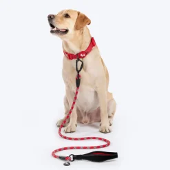 HUFT Xplorers Rope Leash With Carabiner For Dog - Red - 5 ft