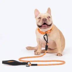 HUFT Xplorers Rope Leash With Carabiner For Dog - Orange - 5 ft
