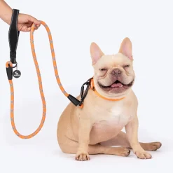 HUFT Xplorers Rope Leash With Carabiner For Dog - Orange - 5 ft