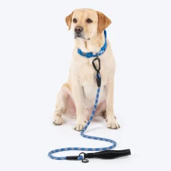 HUFT Xplorers Rope Leash With Carabiner For Dog - Blue - 5 ft