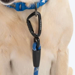 HUFT Xplorers Rope Leash With Carabiner For Dog - Blue - 5 ft