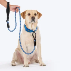 HUFT Xplorers Rope Leash With Carabiner For Dog - Blue - 5 ft