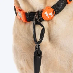 HUFT Xplorers Rope Leash With Carabiner For Dog - Black - 5 ft