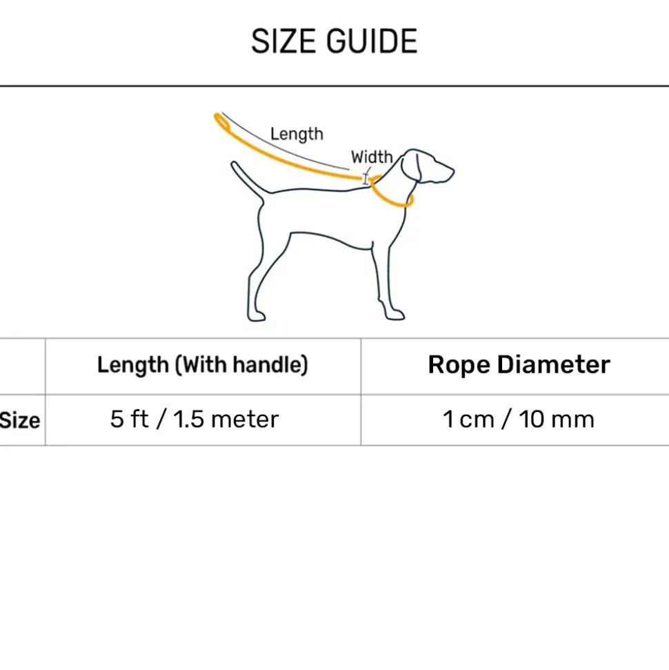 HUFT Xplorers Rope Leash With Carabiner For Dog - Grey - 5 ft