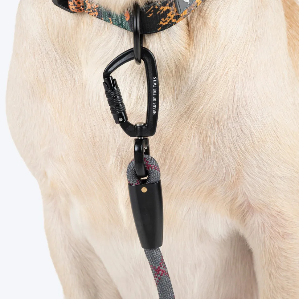 HUFT Xplorers Rope Leash With Carabiner For Dog - Grey - 5 ft