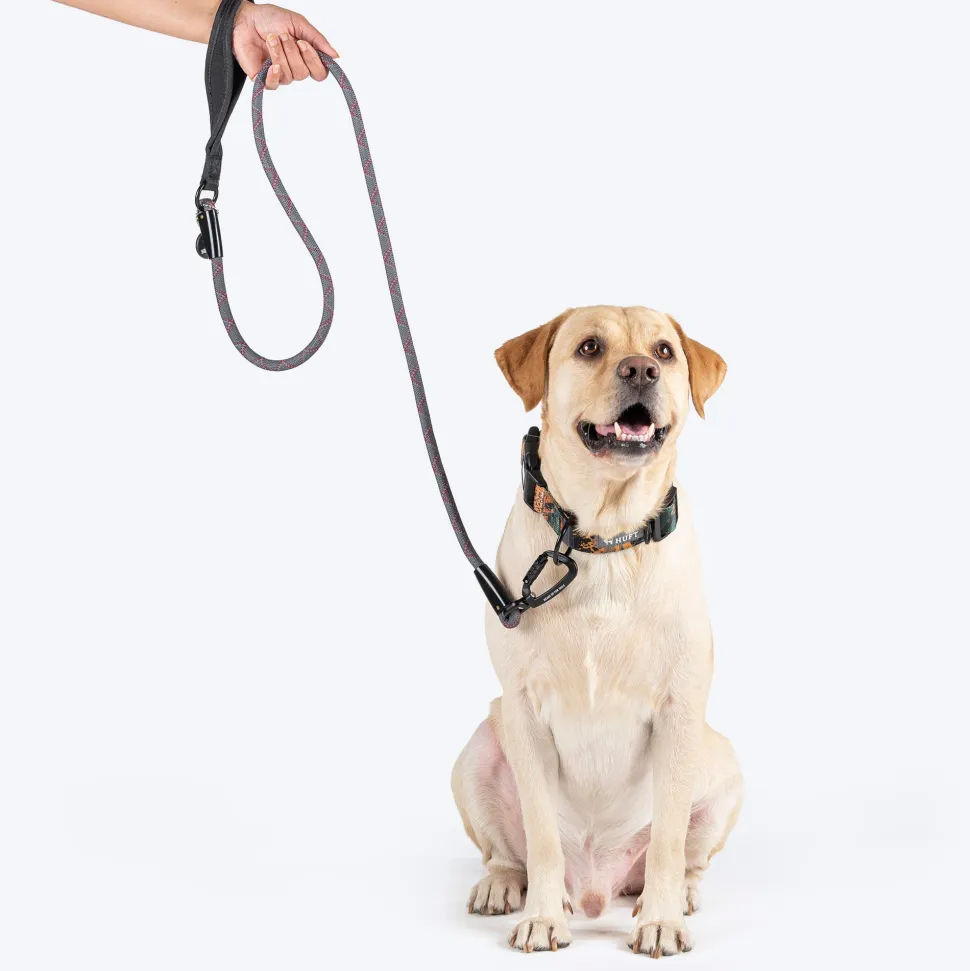HUFT Xplorers Rope Leash With Carabiner For Dog - Grey - 5 ft
