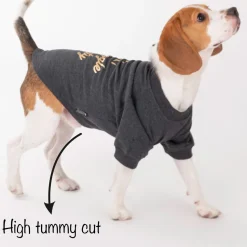 HUFT 24x7 Snuggle Duty Foil Print Pet Sweatshirt - Grey Melange
