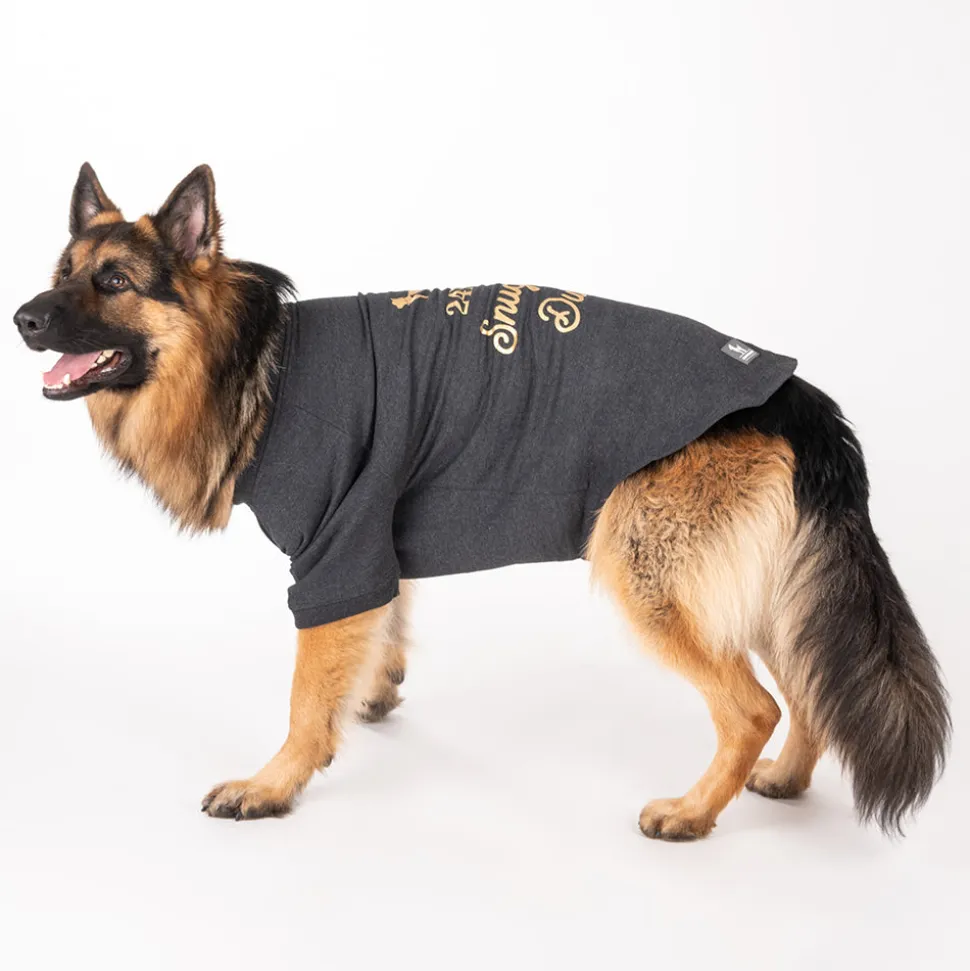 HUFT 24x7 Snuggle Duty Foil Print Pet Sweatshirt - Grey Melange