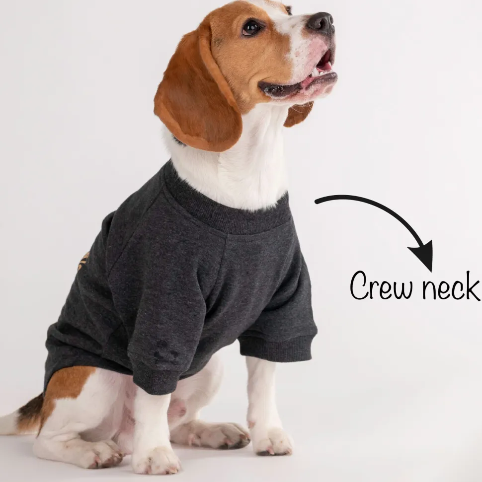 HUFT 24x7 Snuggle Duty Foil Print Pet Sweatshirt - Grey Melange