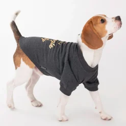 HUFT 24x7 Snuggle Duty Foil Print Pet Sweatshirt - Grey Melange