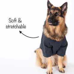HUFT 24x7 Snuggle Duty Foil Print Pet Sweatshirt - Grey Melange