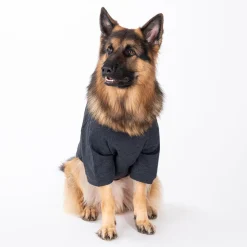 HUFT 24x7 Snuggle Duty Foil Print Pet Sweatshirt - Grey Melange