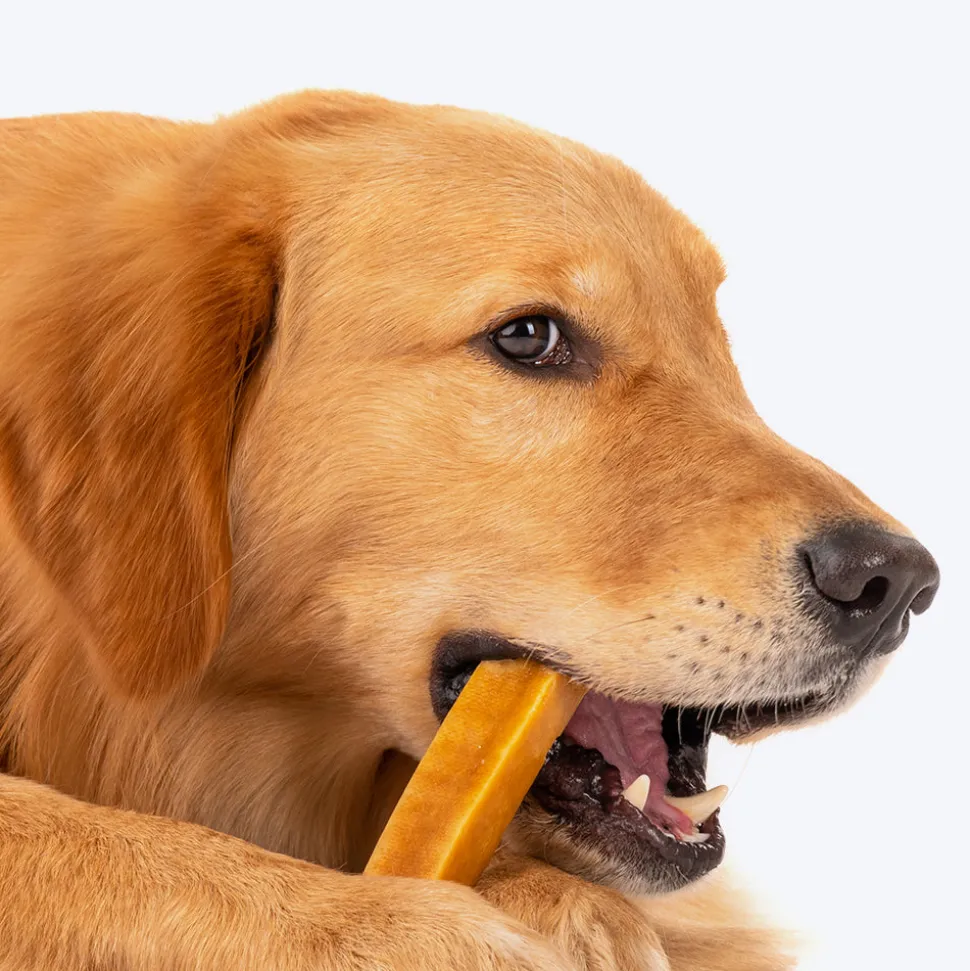 HUFT Yakies Vegetarian Natural Chew Bone