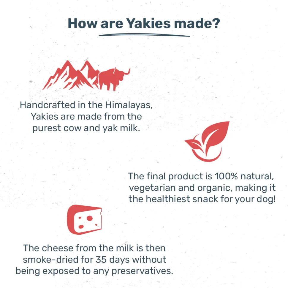 HUFT Yakies Vegetarian Natural Chew Bone - Apple
