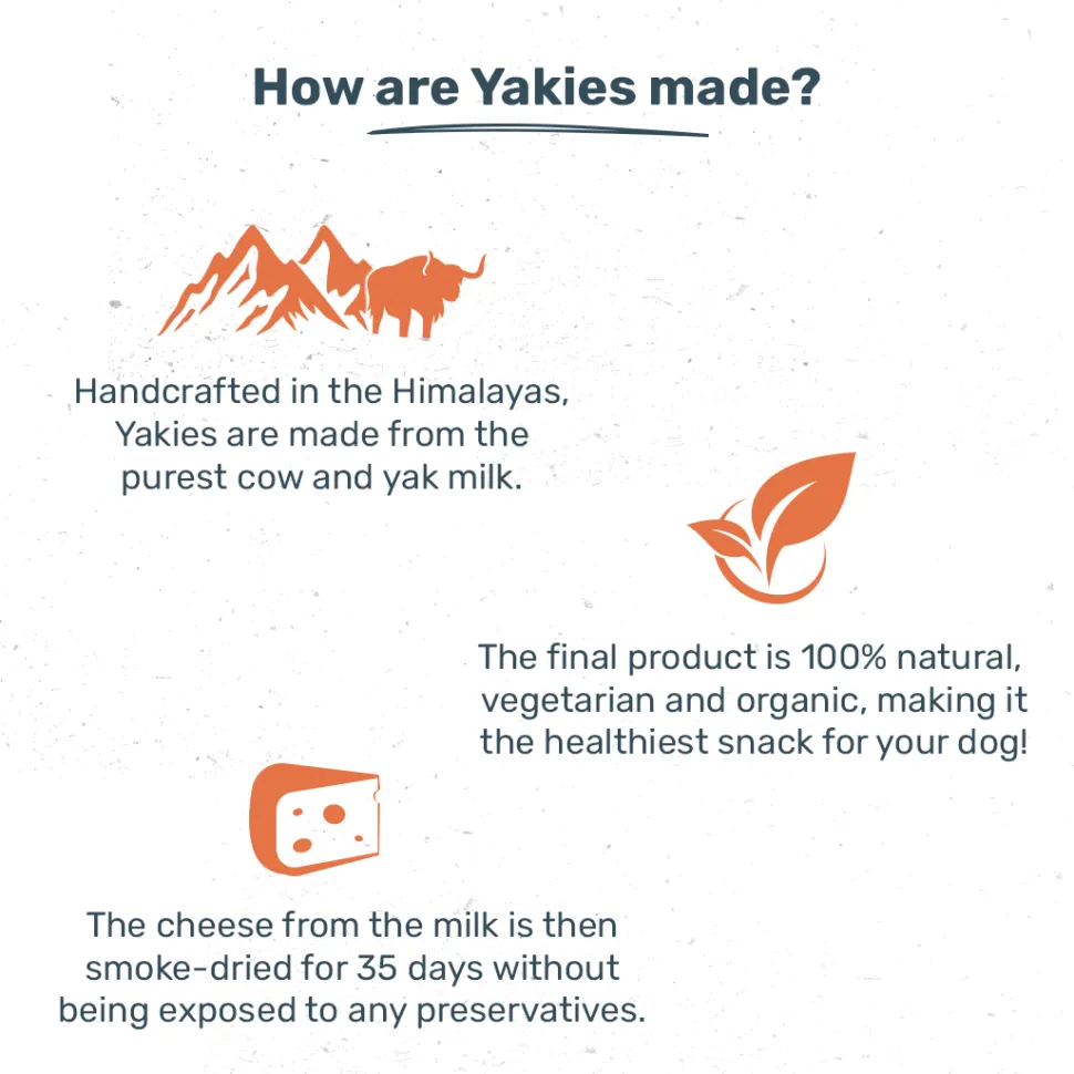 HUFT Yakies Vegetarian Natural Chew Bone - Turmeric