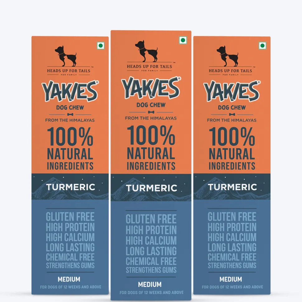 HUFT Yakies Vegetarian Natural Chew Bone - Turmeric