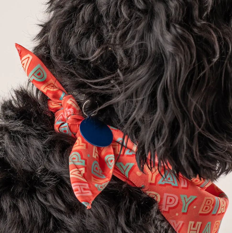 HUFT Yay Happy Birthday Knot Dog Bandana