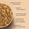 HUFT YumFeast Treat & Wet Food Combo: Pumpkin & Chicken With Brown Rice For Dogs