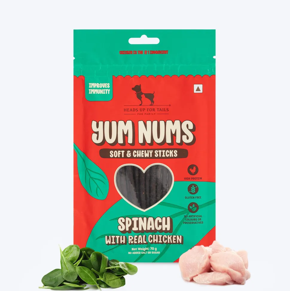 HUFT Yum Fusion Bites - 600 gm (70 gm Each)