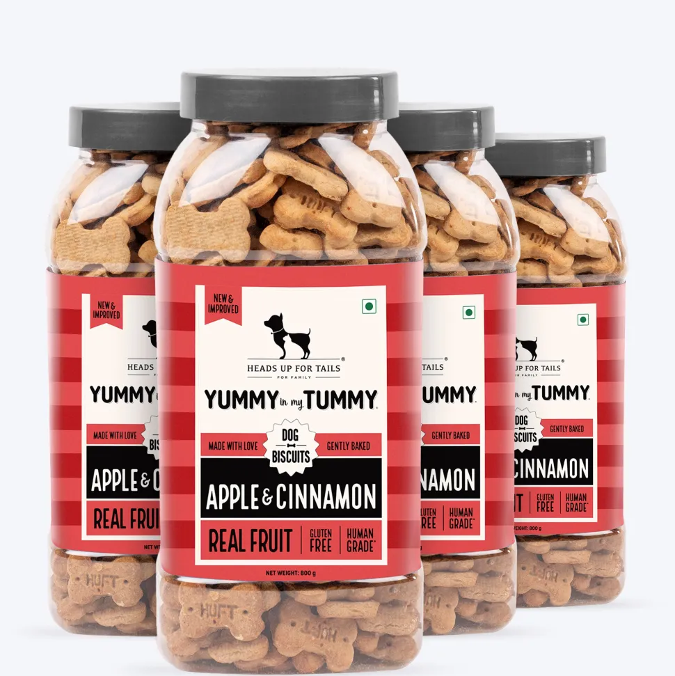 HUFT Yummy In My Tummy Apple & Cinnamon Vegetarian Gluten Free Dog Biscuit